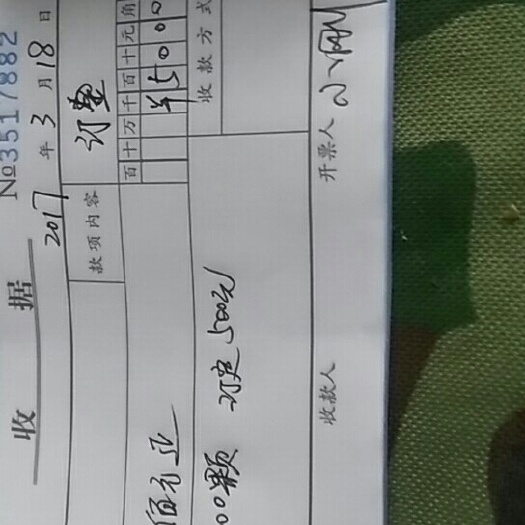 许昌徐薯32红薯苗 15~25cm 