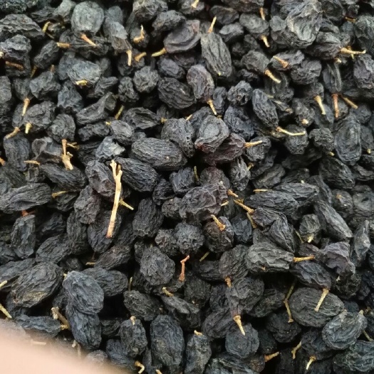 乌鲁木齐黑加仑干