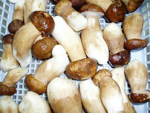 汉阴县干牛肝菌 箱装 1年以上 
