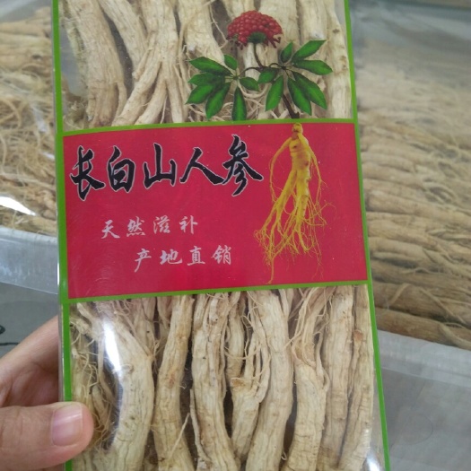 干货人参 个子  泡酒煲汤
