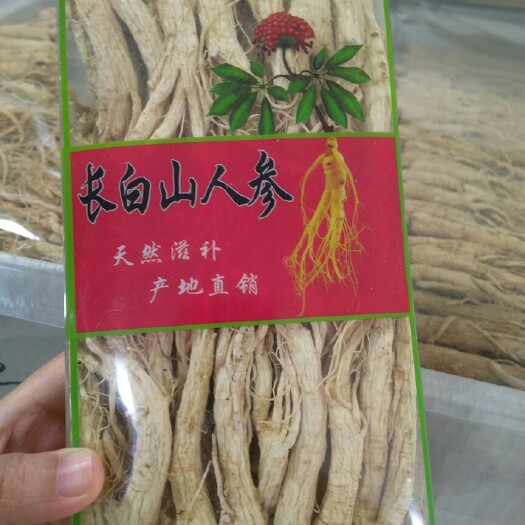 安国市干货人参 个子  泡酒煲汤