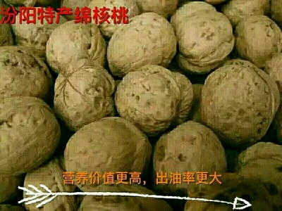 中阳县薄皮核桃