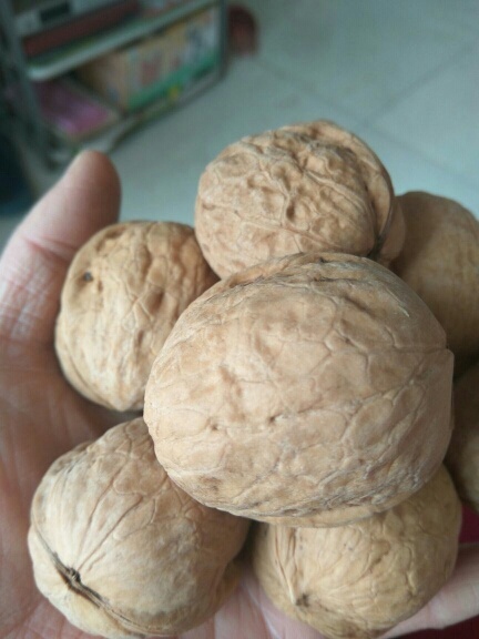 吕梁薄皮核桃 26~30mm 去皮 袋装