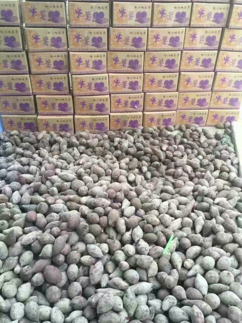 越南紫薯 2两以下