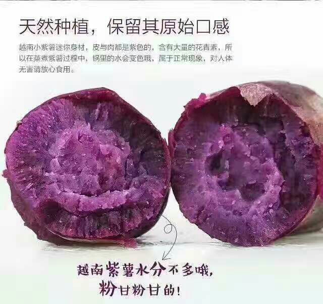 越南紫薯 2两以下
