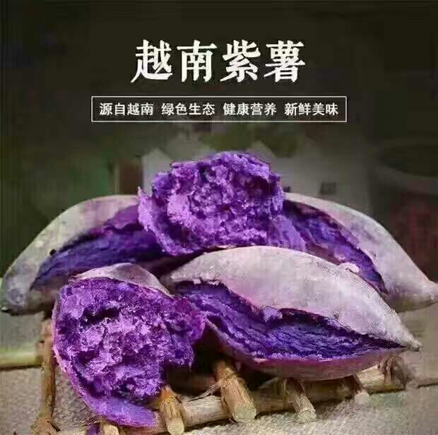越南紫薯 2两以下