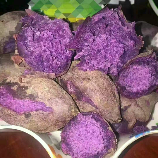 越南紫薯 2两以下