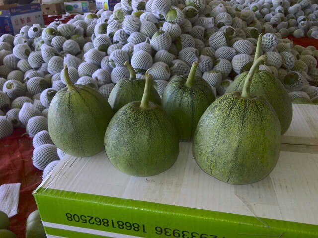 新乐市绿宝甜瓜 0.5斤以上