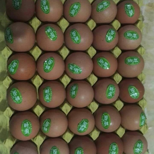 广州富硒鸡蛋 食用 简包装