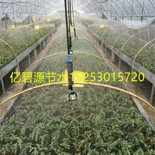 鄄城县地插微喷头 大棚育苗降温