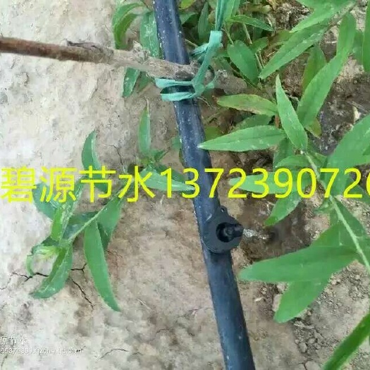 鄄城县滴灌管 