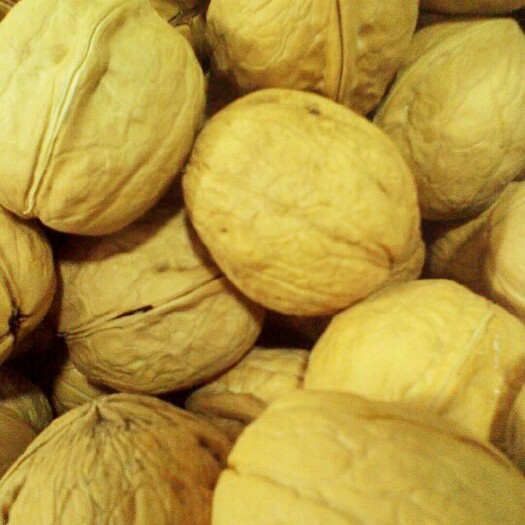 乌鲁木齐新疆185核桃