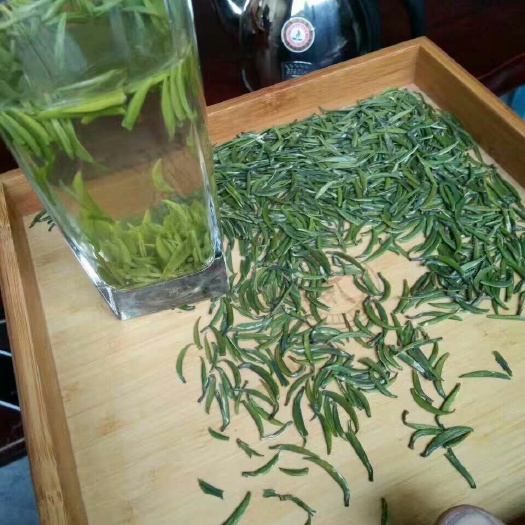 高山野生茶