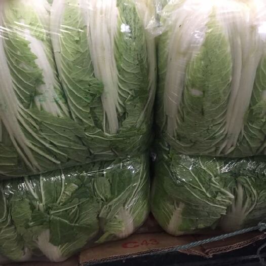 邯郸黄心大白菜 净菜