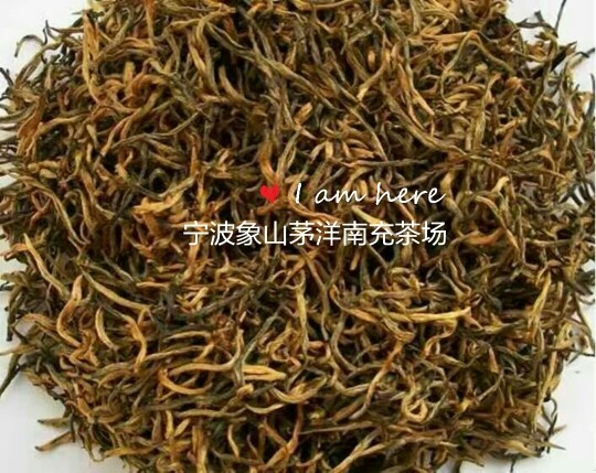 高山红茶