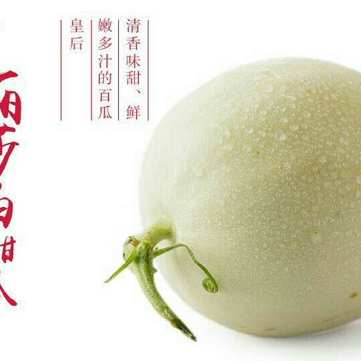 蒲城县伊丽莎白甜瓜 1斤以上