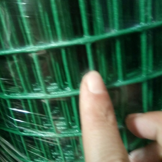 安平县防虫网