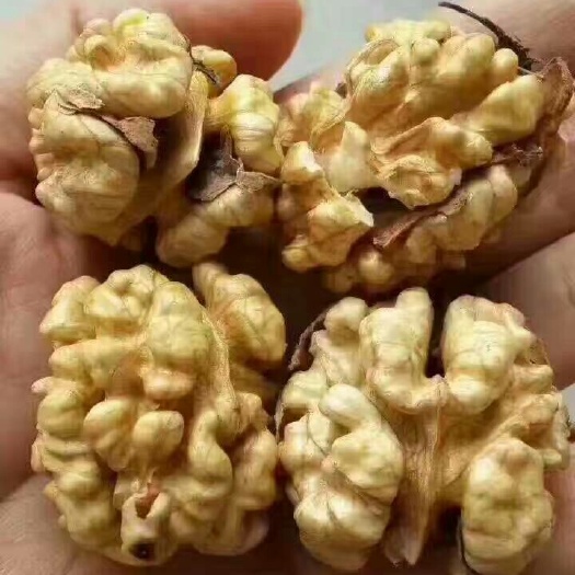 汾阳市礼品核桃