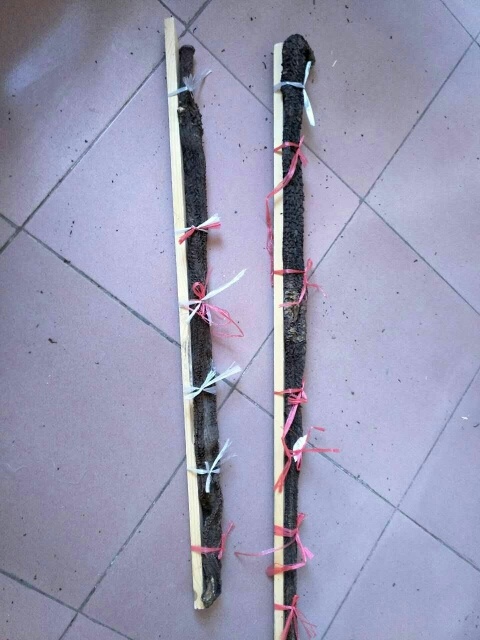 阿拉善左旗苁蓉