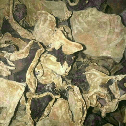 丰县毛木耳 一级