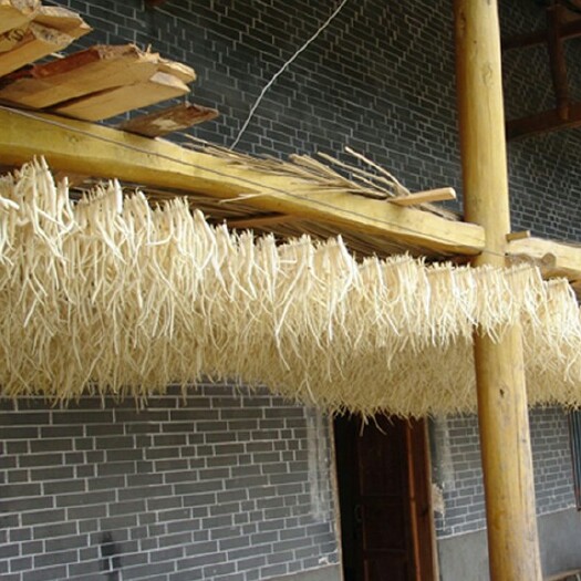 苍溪县沙参