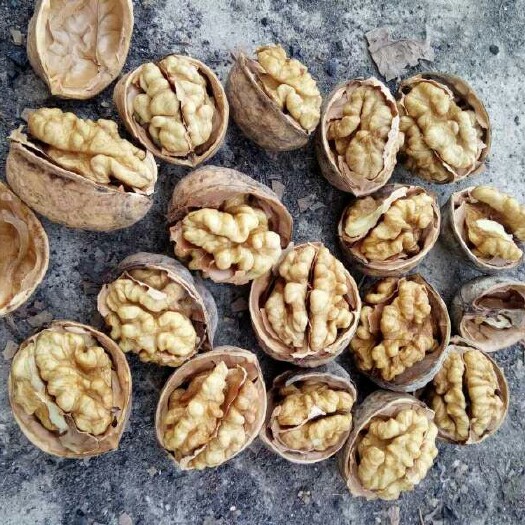 阿克苏市温185 