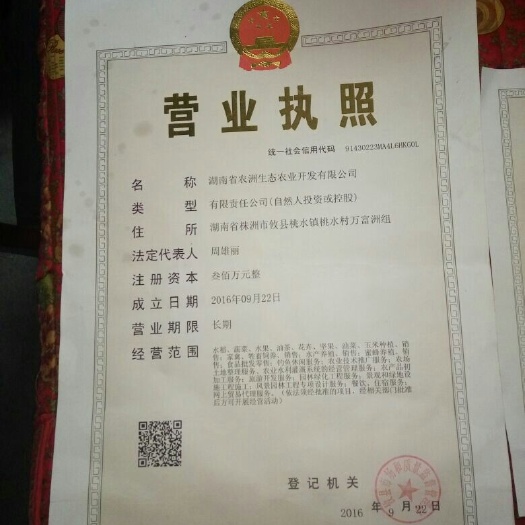 攸县乌鸡蛋 简包装 食用