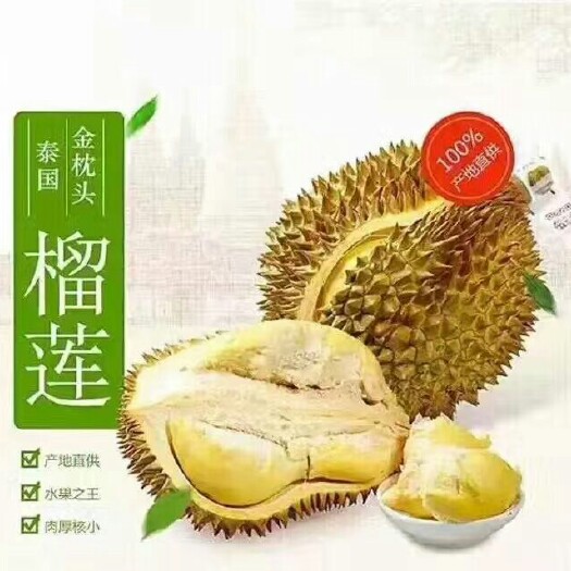 凭祥市 泰国金枕头榴莲一级二级