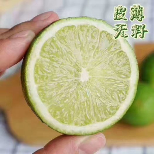 成都香水柠檬 2 - 2.6两