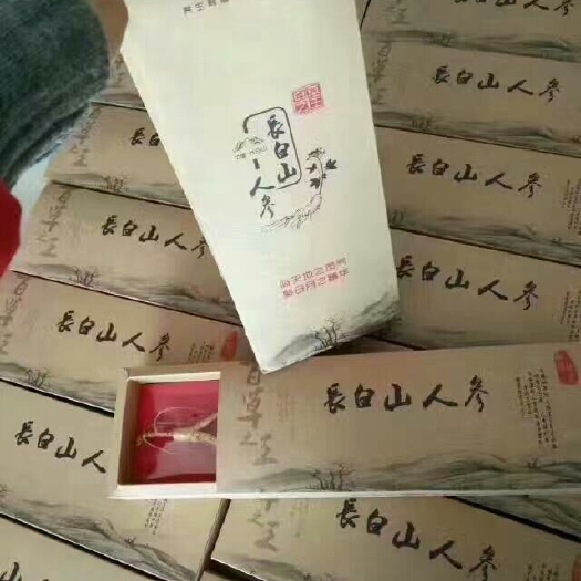 白城林下参人参 全须生晒参