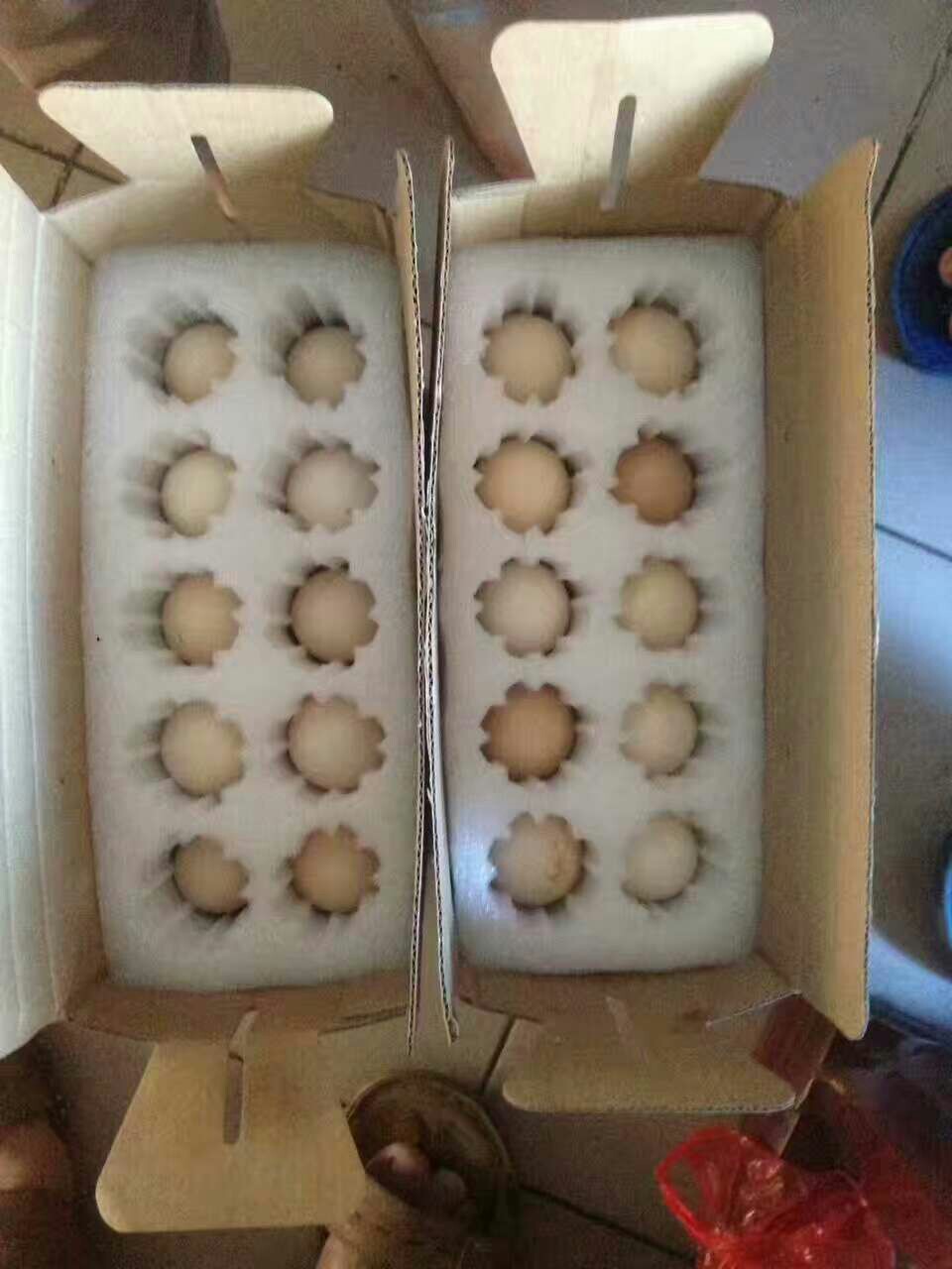 土鸡蛋 食用 简包装
