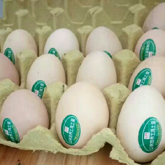洪江市乌鸡蛋 食用 箱装 