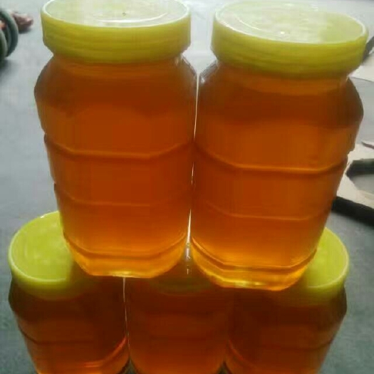 汝南县荆条蜜 塑料瓶装 98% 2年 