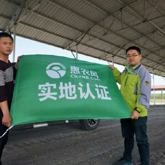 昌黎县早大白土豆 河北省秦皇岛市昌黎县 1两以上