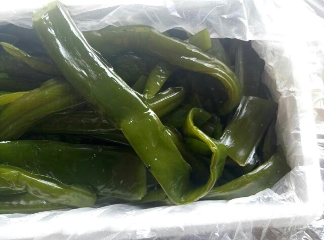 娄底 大连海白菜裙带梗，色泽好，幼嫩爽口，适合凉拌，炒，煮。