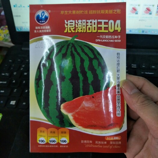 樟树市西瓜种子