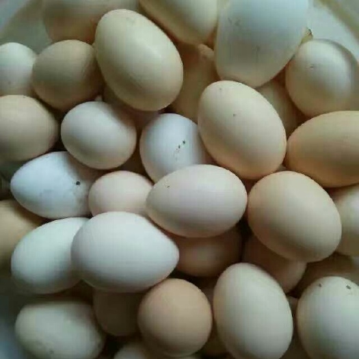 宁都县土鸡蛋 食用 箱装