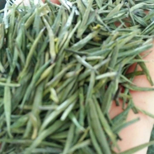 眉山竹叶青茶  一级 散装 雀舌
