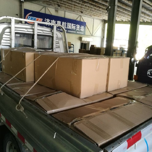 泰安小白草莓苗 地栽苗 10~20公分