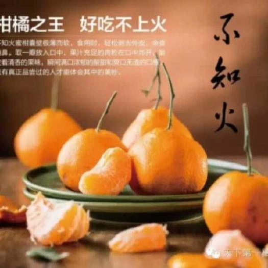 丹棱县不知火 7.5 - 8cm 3两以上 