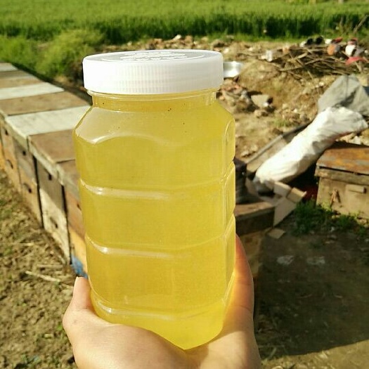 永城市紫云英蜜 塑料瓶装  2年以上