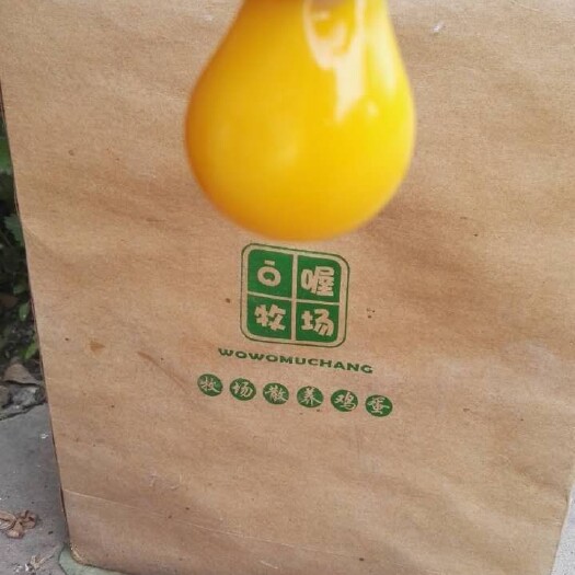 东平县乌鸡蛋 食用 简包装