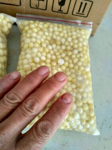 涟水县芡实 12左右小水米