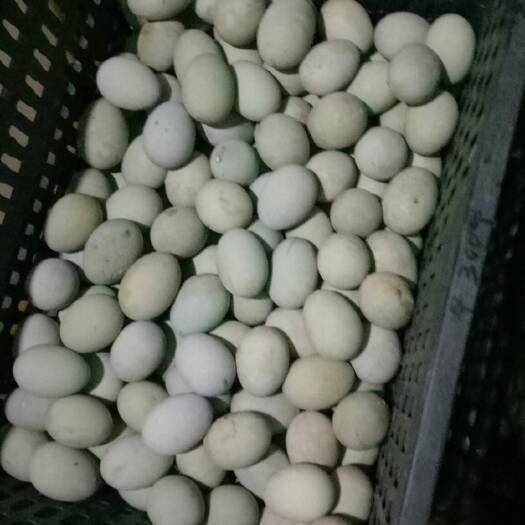 郯城县松花鸭蛋 松花蛋75g以上