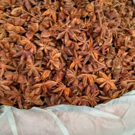 成都大红八角  八角八成干味道还不错的