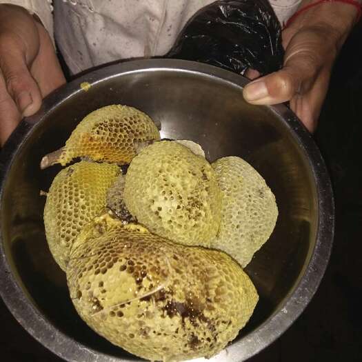 新平县 蜂蜜   天然  欢迎各位老板光顾
