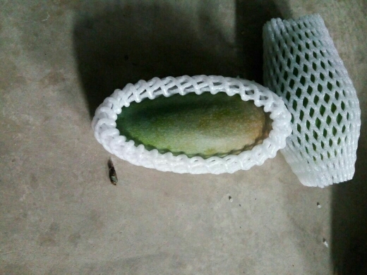 昆明网袋