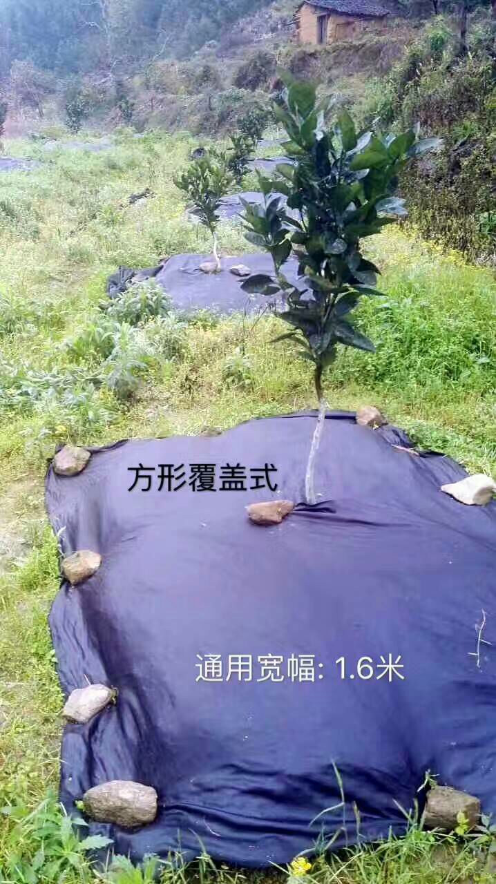 无纺布 生态防草降解地布，保湿透气透水