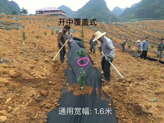 无纺布 生态防草降解地布，保湿透气透水