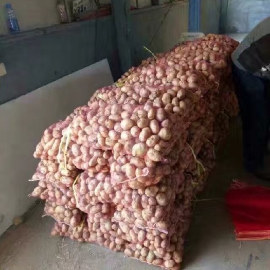沭阳县网袋